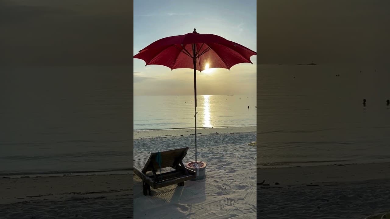 🌞 Stop Scrolling, Start Savoring